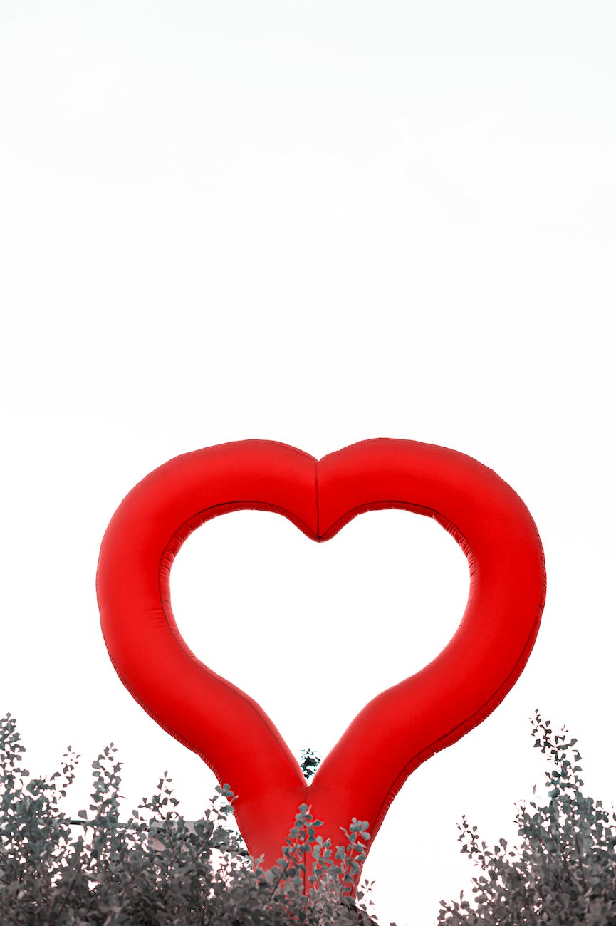 heart shaped balloon above forest trees