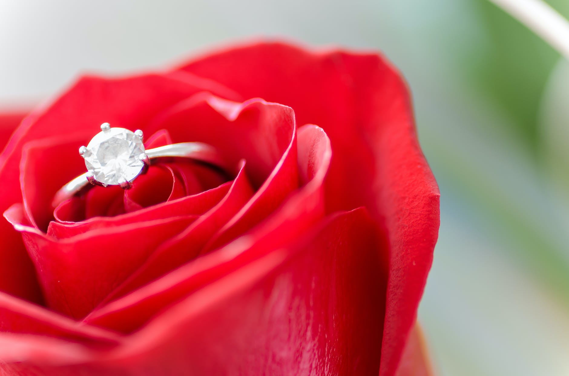 silver colored ring in rose